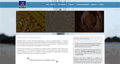 Desktop Screenshot of emmsons.com
